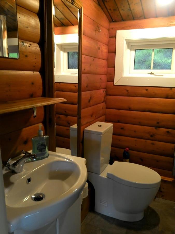 Shifty Chicken Shack Villa Trawsfynydd Екстериор снимка